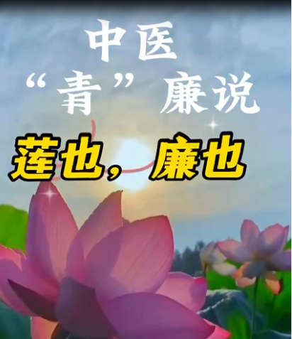 视频《中医“青”廉说----莲也，廉也》